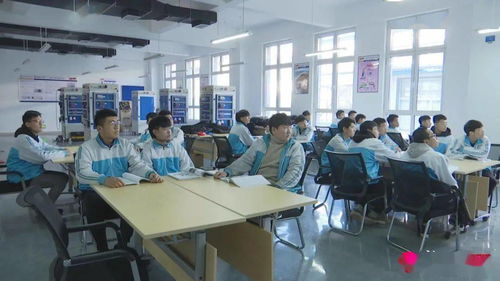 新泰市 深化職業(yè)教育創(chuàng)新，賦能區(qū)域經(jīng)濟(jì)高質(zhì)量發(fā)展