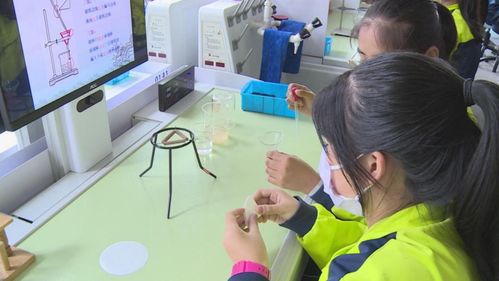 長(zhǎng)白山 菜單式課后服務(wù)賦能“雙減”落地，教育咨詢精準(zhǔn)護(hù)航