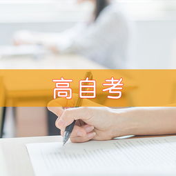 天津慧永諾教育信息咨詢 專業(yè)引領(lǐng)，點(diǎn)亮未來教育之路