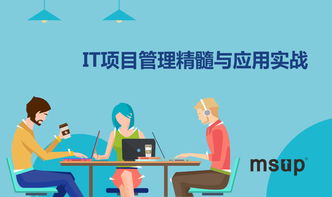 msup 軟件研發(fā)管理培訓(xùn)與咨詢服務(wù) 賦能團(tuán)隊(duì)，驅(qū)動(dòng)卓越